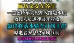 文安网友爆料视频最新一期,揭秘最新一期惊人内幕